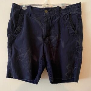 American Eagle flat Front Shorts size 34